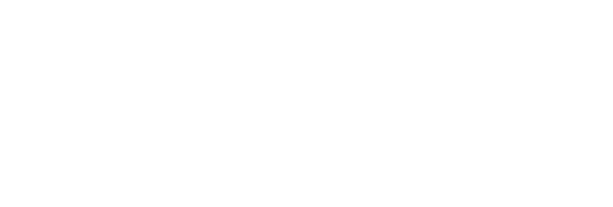 VATSIM Logo